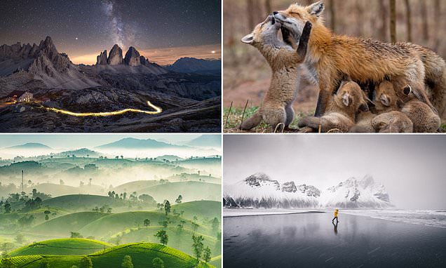 Nominator Lomba Foto Internasional, `the Sony World Photography Awards`
